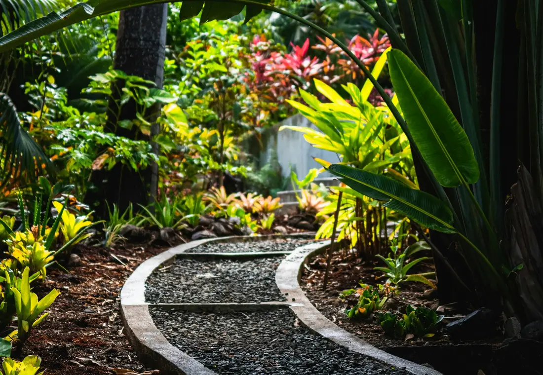 Courtyard garden after planting, softer borders and a clearer path.